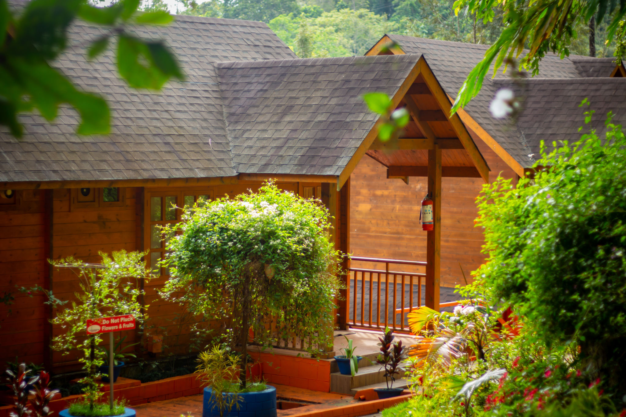 Saket Bungalow