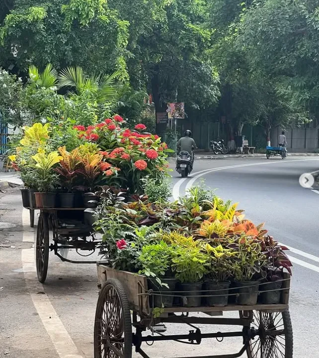 Defence Colony Road