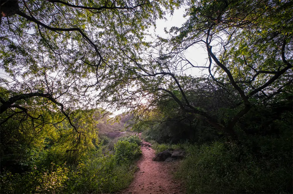 Sanjay Van